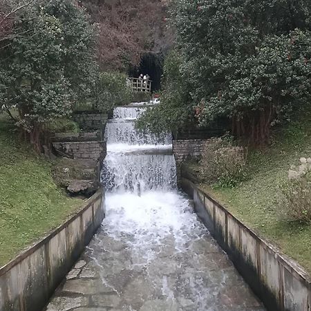 Las Gaviotas Cudillero Buitenkant foto